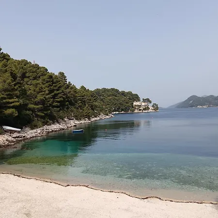 Dragana Апартаменты