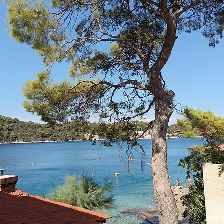 Dragana Апартаменты