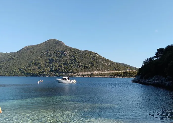 Apartamento Dragana *